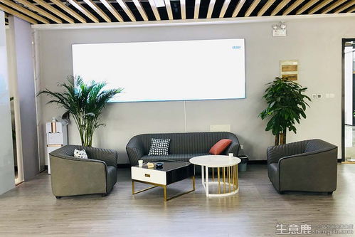 蜂拥联盟 海棠猫奶茶加盟项目全解析——从产品到生意的成功之路